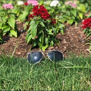 Meet your Posher, Avery